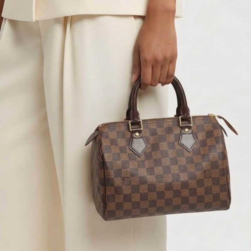 Pre Owned LOUIS VUITTON Speedy 25 Damier Ebene Top Handle Bag